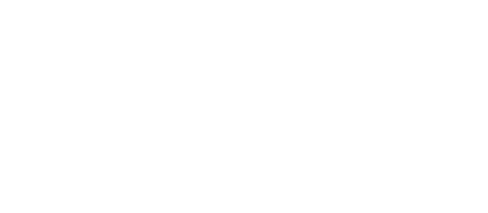 N Fazzi Logo bianco payoff