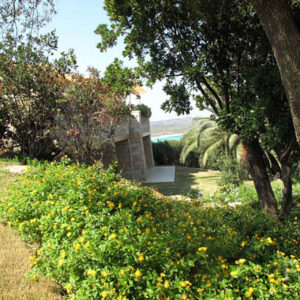 affitto villa punta aldia sardegna giardino  fazzi real estate