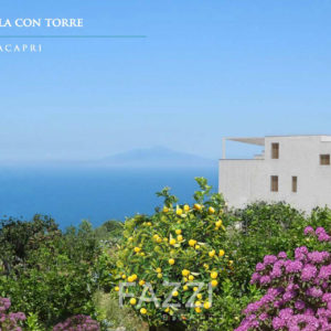 vendita villa anacapri esterno  italia fazzi real estate