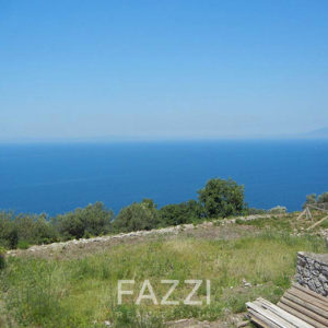 vendita villa anacapri esterno  italia fazzi real estate