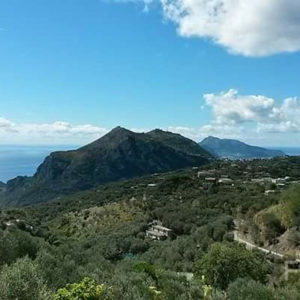 vendita villa sorrento napoli vista  fazzi real estate